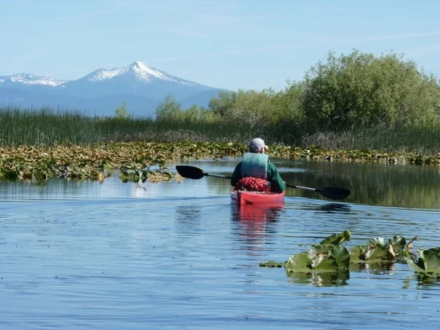 Rocky Point canoe trail