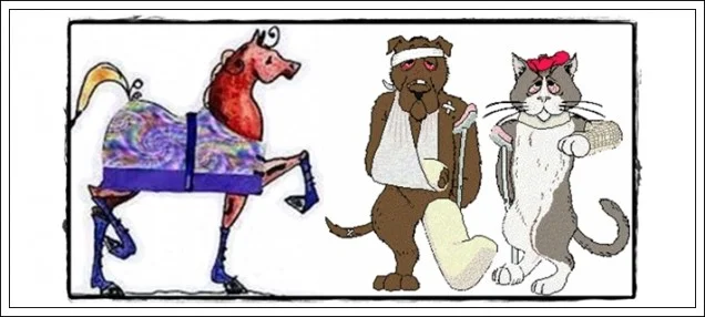 Animal care in Chiloquin