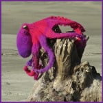 Omniscient Octopus by JoansGarden for Knitted creatures