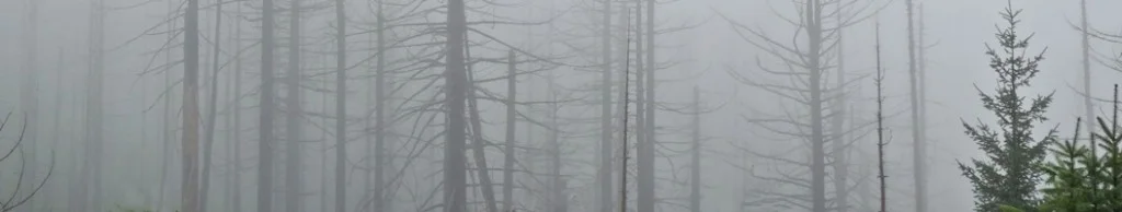 https://chiloquin.com/wp-content/uploads/2014/01/slider-city-hall-1024x194.jpg