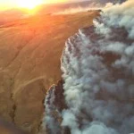 wild fire