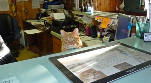 Gomer Pyle at Haseman Vet, Chiloquin