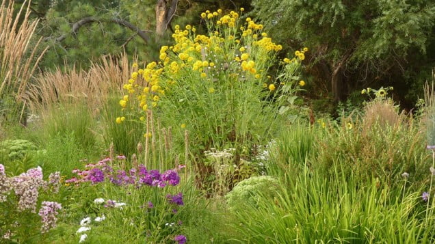 Gardening in Snow Country - Chiloquin