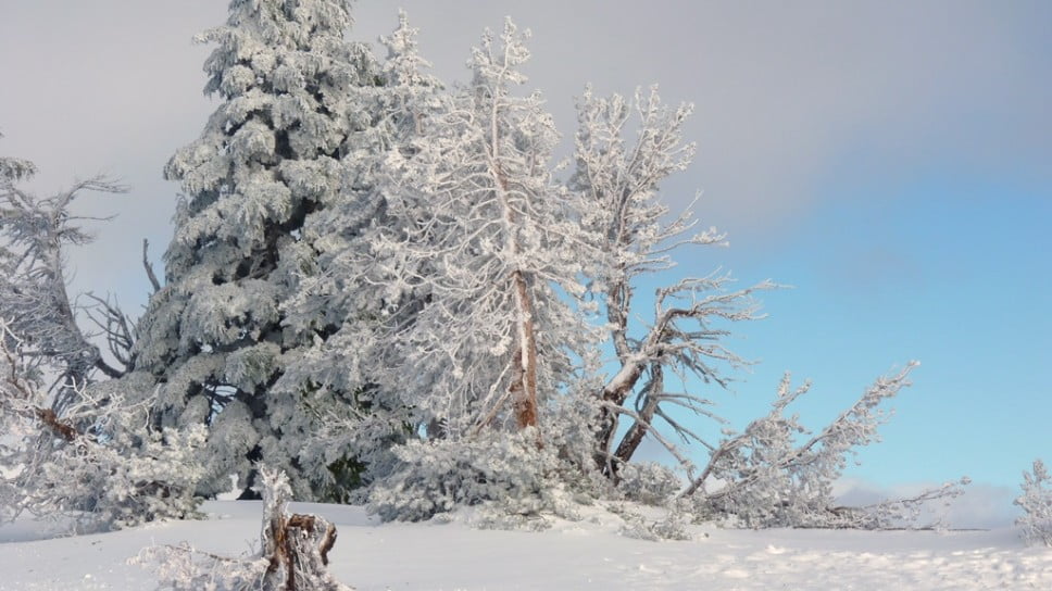 Activities Gallery Chiloquin