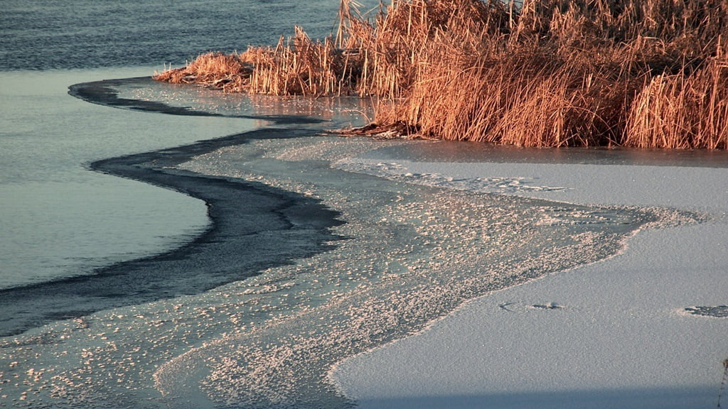 In winter, the water of the Wood River meets the ice of the Wood River Canal in a flowing design.