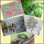 post cards by JoansGarden for Knitted Creatures